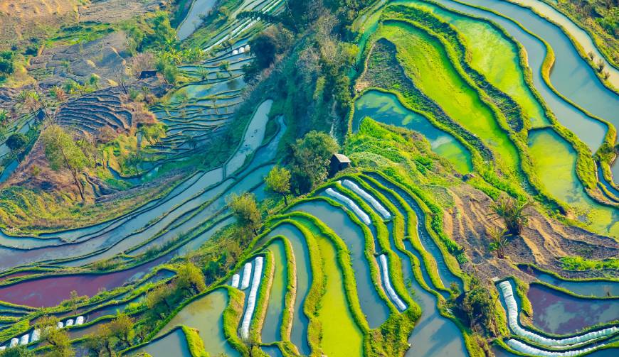 迁西县广告片拍摄公司数字技术驱动的广告革命